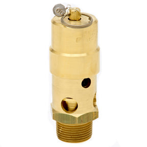 SW10-115 | 1" ASME Soft Seat Safety Valve 115 psi 977 SCFM