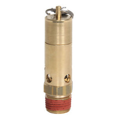 SF50-160 | 1/2" ASME Soft Seat Safety Valve 160 psi 291 SCFM